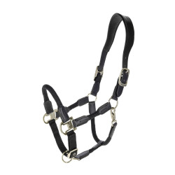 Kantar Covalliero "Cordano...