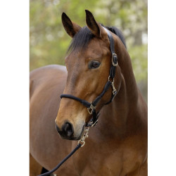 Kantar Covalliero "Cordano Deluxe" Black/Czarny