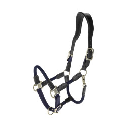 Kantar Covalliero "Cordano...