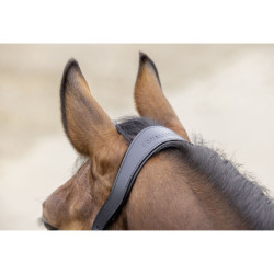 Kantar Covalliero "Cordano Deluxe" Dark Navy/C. Granat