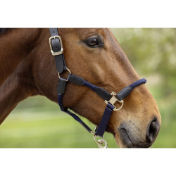 Kantar Covalliero "Cordano Deluxe" Dark Navy/C. Granat