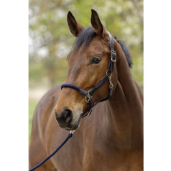 Kantar Covalliero "Cordano Deluxe" Dark Navy/C. Granat