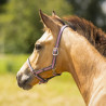 Kantar dla źrebaka roczniak QHP różowe/Cheery pink Foal