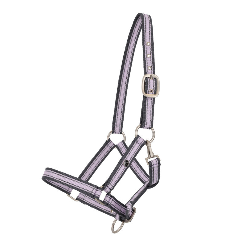 Kantar dla źrebaka roczniak QHP lawenda/Lavender haze Foal