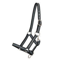 Kantar dla źrebaka roczniak...