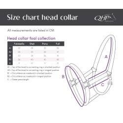 Kantar dla źrebaka roczniak QHP czerwony/Sunset red Foal