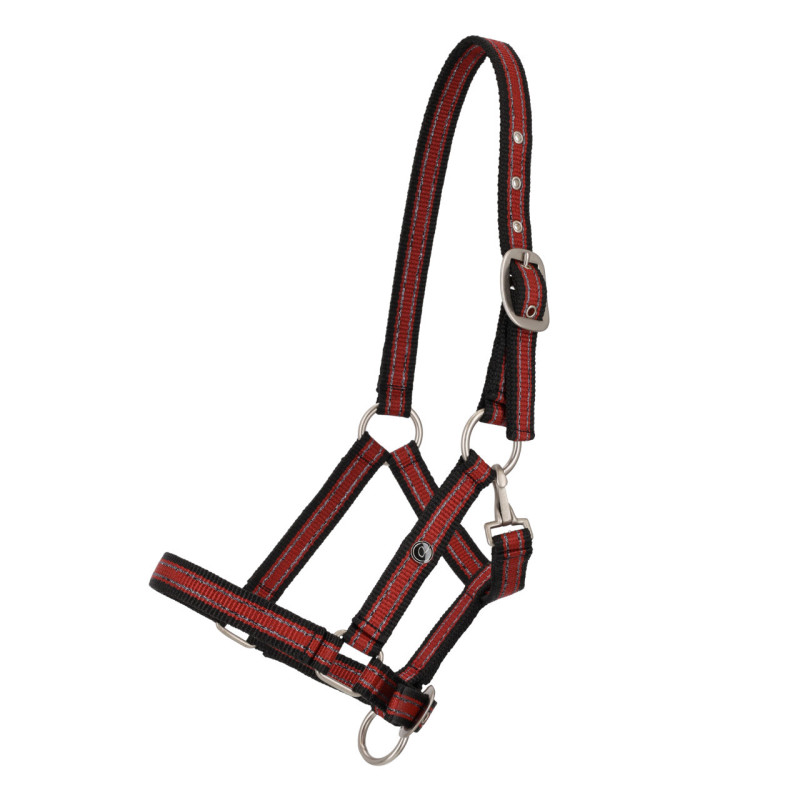 Kantar dla źrebaka roczniak QHP czerwony/Sunset red Foal