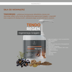 Hippovet Pharmacy TendoRegen – regeneracja i wzmocnienie ścięgien 2,5l
