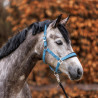 Kantar Kavalkade "Classic Simple" Smoke Blue/Błękitny COB