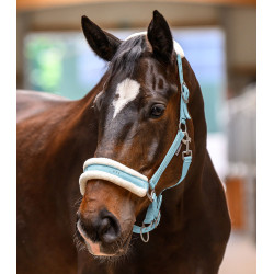Kantar Waldhausen Elegant Light Blue/Jasny Niebieski