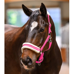 Kantar Waldhausen Elegant Night Pink/Różowy X-FULL