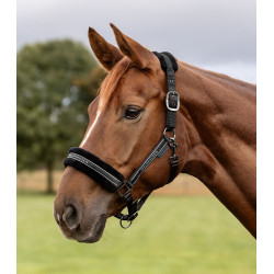 Kantar Waldhausen Elegant Black/Czarny