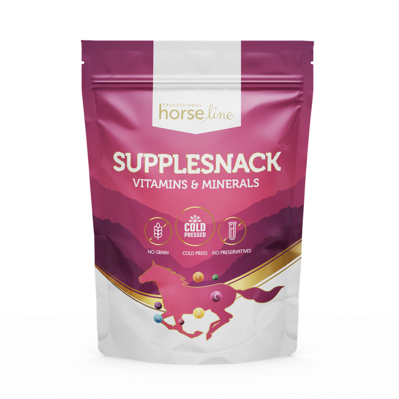 SuppleSnack Vitamins & Minerals 1500g