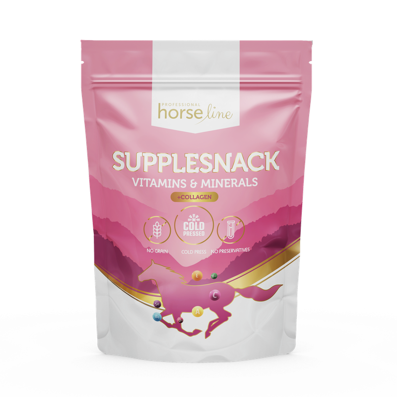SuppleSnack Vitamins & Minerals +Collagen 1500g