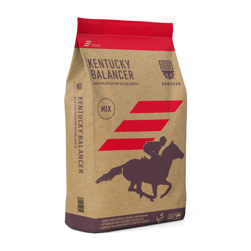 SARACEN Kentucky Balancer 20kg