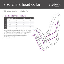 Kantar dla źrebaka QHP "Deluxe" granat