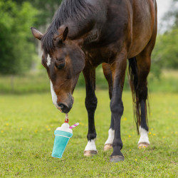 Zabawka dla konia QHP "Milkshake"