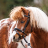 Ogłowie dla kucyka Kavalkade "Maja" czarne Mini-Pony