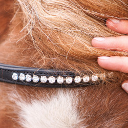 Ogłowie dla kucyka Kavalkade "Maja" czarne Mini-Pony
