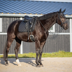 Wodze parciane ze stoperami QHP Glitter Full