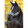 Kantar Covalliero "Soft" Forest Green/Zielony