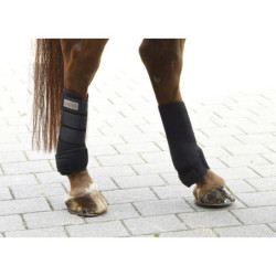 Ochraniacze treningowe do pęcin Covalliero Pony 4szt.