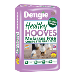 Dengie Healthy Hooves Molasses Free z MSM 20kg