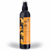 Dry Hoof Spray na strzałki Black Horse 250 ml