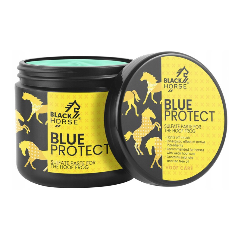 Black Horse Blue Protect pasta siarczanowa na strzałki 500ml