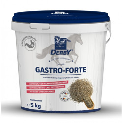 Derby Gastro Forte (5 kg)