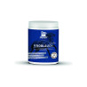 DERBY Knoblauch Garlic - czosnek