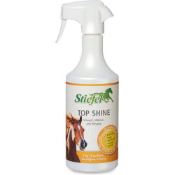 Top Shine Stiefel spray do...