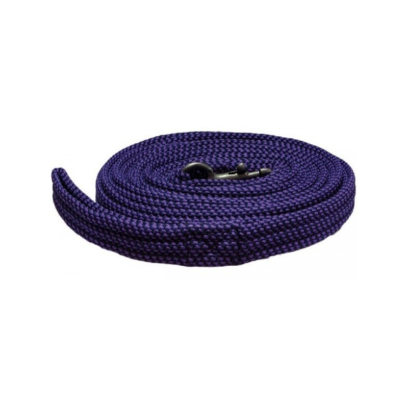 Lonża York Stripe fioletowa 8,5m