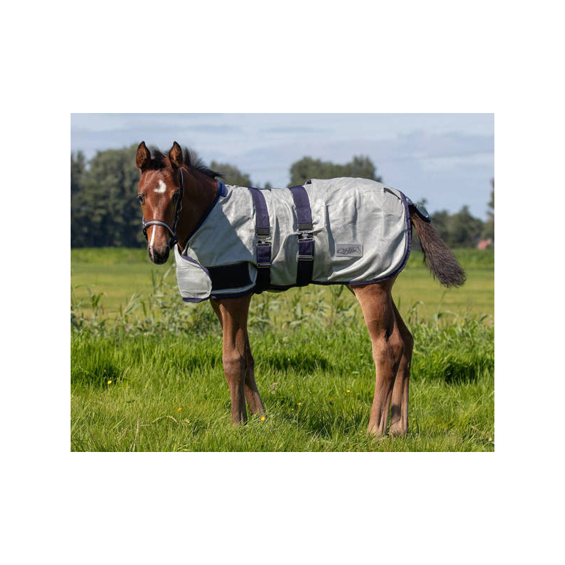 Derka siatkowa dla źrebaków QHP 80cm, szara