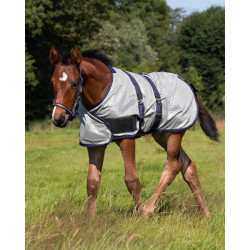 Derka siatkowa dla źrebaków QHP 80cm, szara