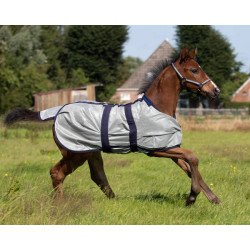 Derka siatkowa dla źrebaków QHP 80cm, szara