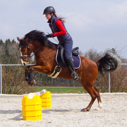 Podstawka pod cavaletti niebieska