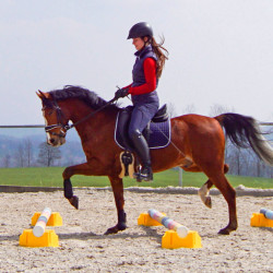 Podstawka pod cavaletti niebieska